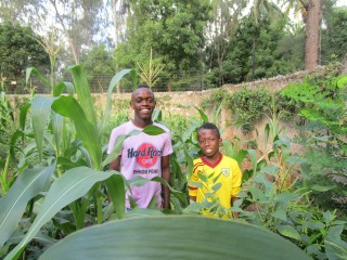 The corn is as high ... as our Happy House kids!